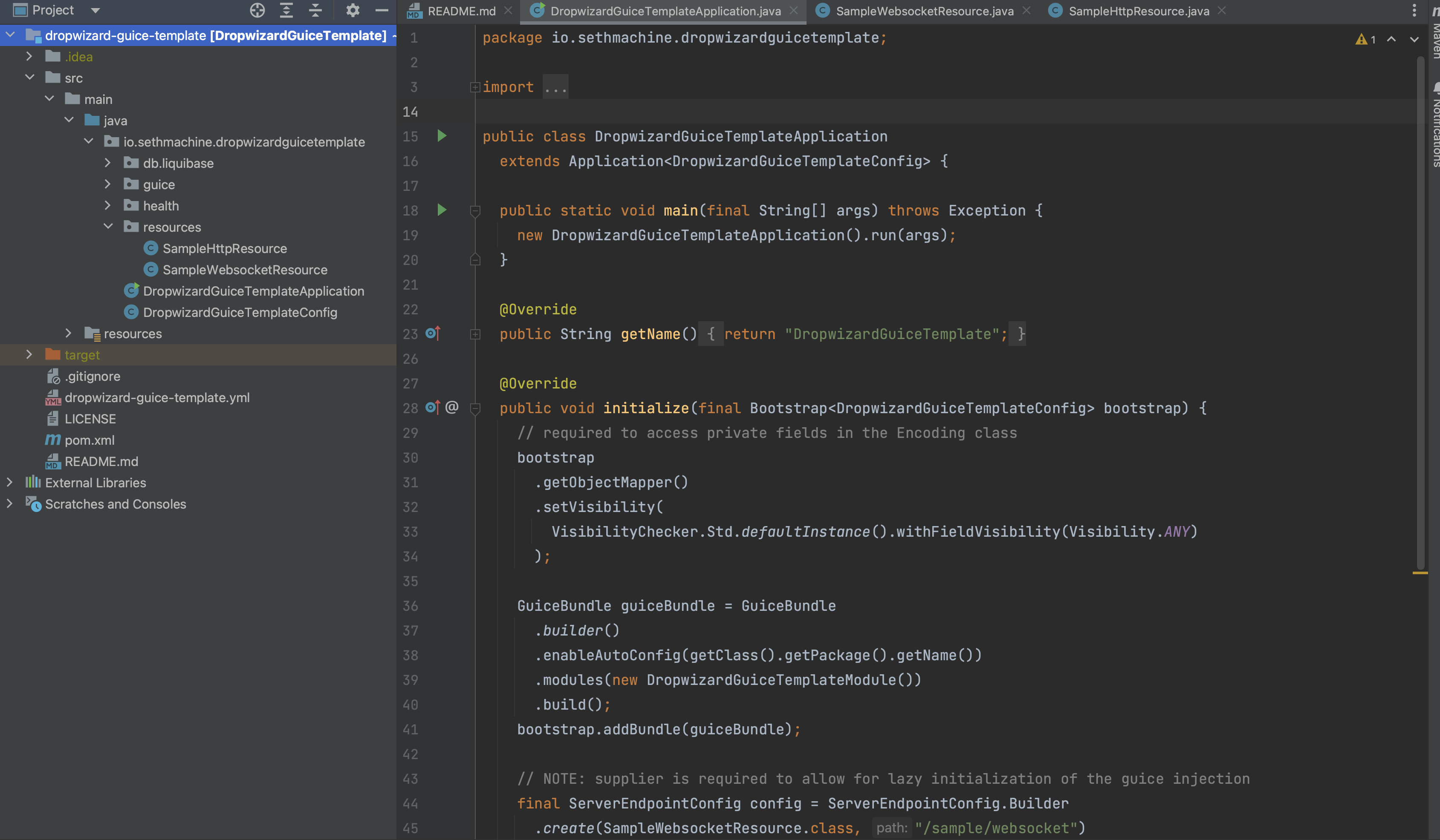 Dropwizard Guice Template in IntelliJ